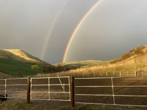 Rainbow, post rainstorm, over the arena at Garden Springs Farm.