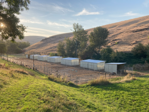 Image of the horse sheds and pens at Garden Springs Farm