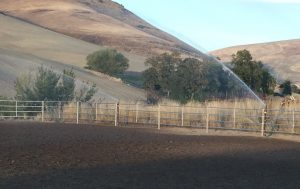 .PNG view of Garden Springs Farm arena sprinklers